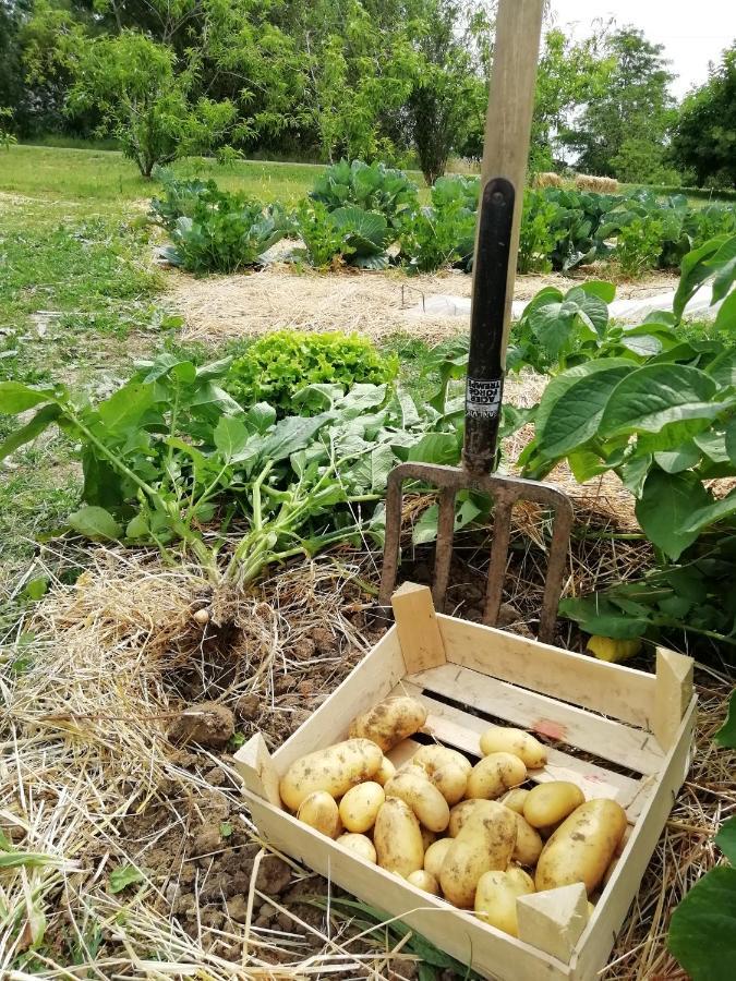 La Planche Princee, Chambres D'Hotes Ecolo Et Potager Bio, Sauna Les Rosiers Dış mekan fotoğraf